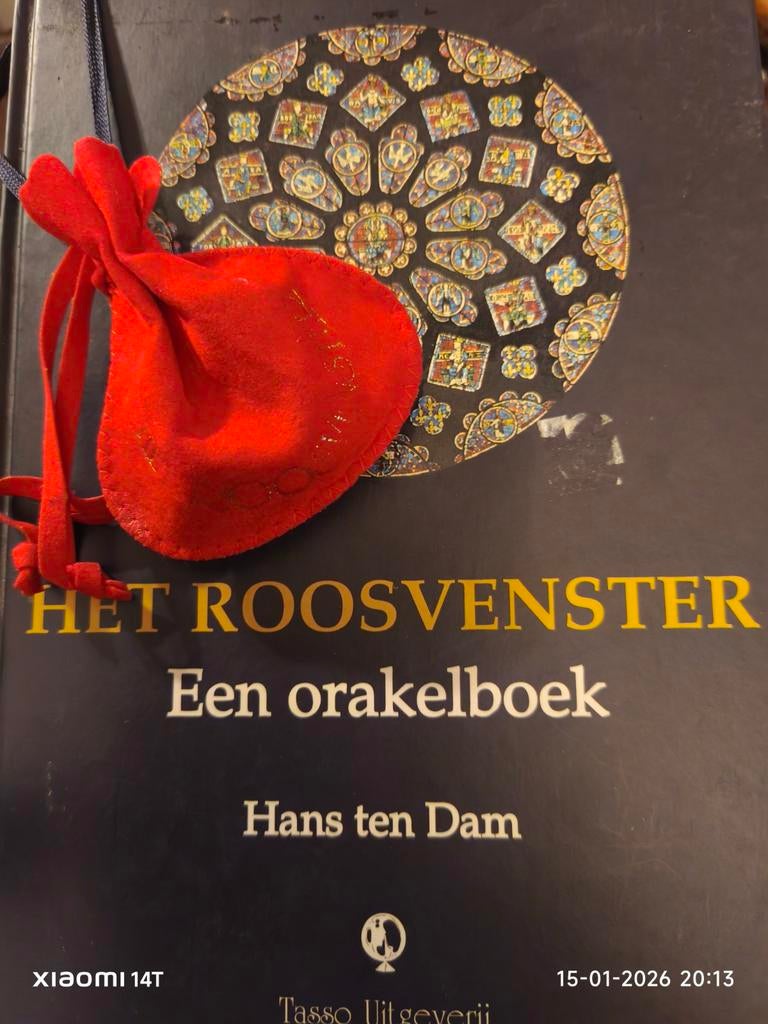 Het Roosvenster - Een Orakelboek, Boeken, Ophalen of Verzenden, Gelezen, Overige onderwerpen, Hans ten Dam