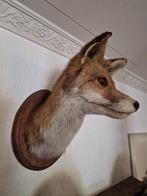 Grote rood vos kop aan hangend schildje + meer brocante., Ophalen of Verzenden, Zo goed als nieuw, Beeldje of Figuurtje