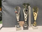 Trofeeën/wedstrijdbekers/sportprijzen/bokalen, set 16, Ophalen of Verzenden, Gebruikt