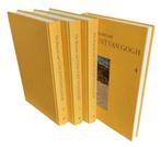 De brieven van Vincent van Gogh in cassette, Boeken, Vincent van Gogh, Ophalen of Verzenden, Zo goed als nieuw, Schilder- en Tekenkunst