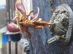 sigvalt prince of slaanesh, Hobby en Vrije tijd, Wargaming, Ophalen of Verzenden, Zo goed als nieuw