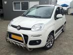 Fiat Panda Pushbar Bullbar, Ophalen, Niet ingevuld, Niet ingevuld, Niet ingevuld