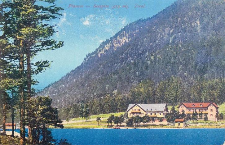 A309 Oostenrijk - Tirol - Plansee Seespitz, Verzamelen, Ansichtkaarten | Buitenland, Ongelopen, Oostenrijk, Voor 1920, Verzenden