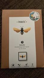 Assembli honey bee - leuke 3d puzzel bij, Ophalen of Verzenden, Zo goed als nieuw, Materiaal