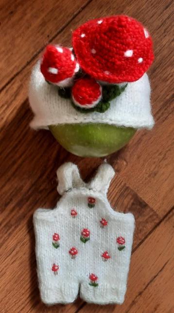 2 dlg. Paddestoel kleding setje voor bjd blythe, of pullip. beschikbaar voor biedingen