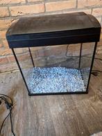 Vissenaquarium met pomp, warmtelamp en ornament, Dieren en Toebehoren, Ophalen, Leeg aquarium