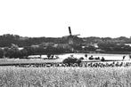 946127	Lochem	Gld 1965 gezicht op Zwiepse Molen	Gelopen met, Verzenden, 1960 tot 1980, Gelopen, Gelderland