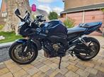 Yamaha FZ1 Fazer 1000, Particulier