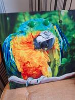 Gratis magneet schilderij, Antiek en Kunst, Ophalen
