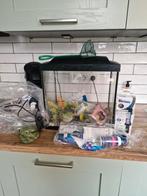 Aquarium, zeer compleet, Dieren en Toebehoren, Vissen | Aquariumvissen, Vis