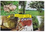 Bungalowpark De lommerbergen Reuver Ansichtkaart (B2498 ), Verzamelen, Ansichtkaarten | Nederland, Ophalen of Verzenden, Gelopen