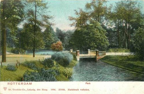 (377-590-013) Rotterdam Park, Verzamelen, Ansichtkaarten | Nederland, Zuid-Holland, Verzenden