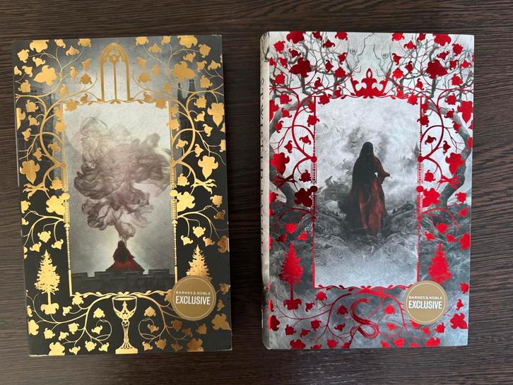 Shepherd King Duo - Barnes & Noble Editie Rachel Gillig, Boeken, Fantasy, Zo goed als nieuw, Ophalen of Verzenden