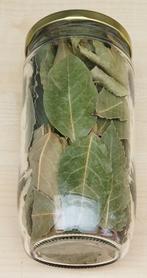 Gratis poten met laurierblad, Diversen, Levensmiddelen, Ophalen