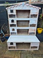 Grote caviaflat, Dieren en Toebehoren, Ophalen, 90 cm of meer, Hok, Cavia