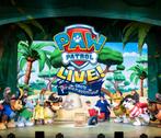 2 tickets Paw Patrol live 26 febr Almelo, Tickets en Kaartjes, Theater | Cabaret en Komedie, Twee personen, Februari