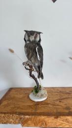 Opgezette vogel dieren taxidermie, Verzamelen, Dierenverzamelingen, Ophalen of Verzenden, Zo goed als nieuw, Vogel, Opgezet dier