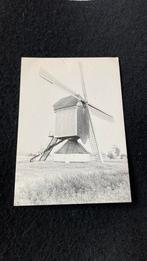 Retie windMolen, Antwerpen, 1960 tot 1980, Ongelopen, Ophalen of Verzenden