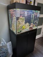 JUWEL AQUARIUM MET MEUBEL IZGST, Dieren en Toebehoren, Vissen | Aquaria en Toebehoren, Ophalen, Gebruikt, Gevuld zoetwateraquarium