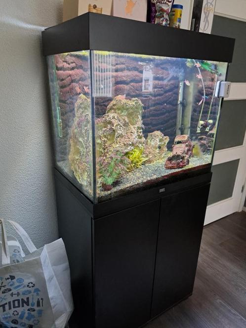 JUWEL AQUARIUM MET MEUBEL IZGST, Dieren en Toebehoren, Vissen | Aquaria en Toebehoren, Gebruikt, Gevuld zoetwateraquarium, Ophalen