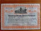 Aandeel Tonapah Divide Mining Company - 1920, Postzegels en Munten, Aandelen en Waardepapieren, Ophalen of Verzenden, 1920 tot 1950