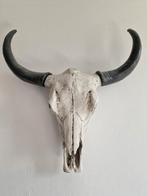 Skull Schedel Buffel, Gebruikt, Ophalen