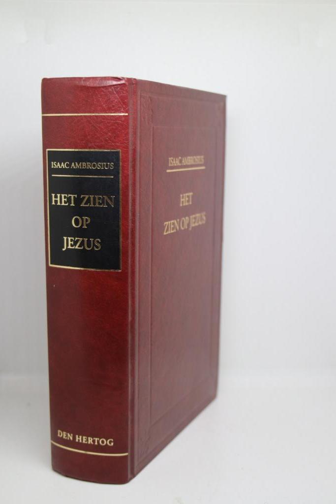 Het zien op Jezus - I Ambrosius, Boeken, Godsdienst en Theologie, Zo goed als nieuw, Ophalen of Verzenden
