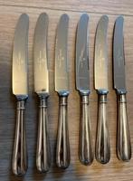 Verzilverde fruitmesjes Hollands glad Keltum, Huis en Inrichting, Keuken | Bestek, Ophalen of Verzenden, Zo goed als nieuw, Vaatwasserbestendig