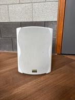 Witte DAP Audio Speakers - Goed Geluid!, Gebruikt, Minder dan 60 watt, Front, Rear of Stereo speakers, Ophalen