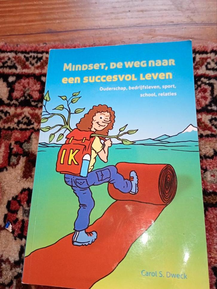Mindset - Carol S. Dweck, Boeken, Psychologie, Gelezen, Ophalen of Verzenden