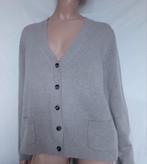 ALLUDE CASHMERE Vest , Maat 42 - 44, Verzenden, Zo goed als nieuw, Maat 42/44 (L), Grijs