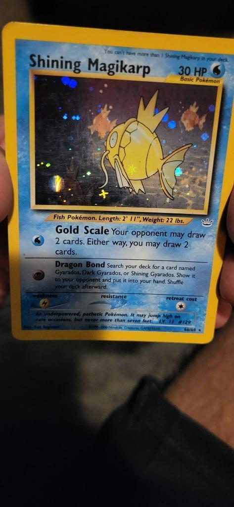 Shining Magikarp #66/64 HOLO M, Hobby en Vrije tijd, Verzamelkaartspellen | Pokémon, Zo goed als nieuw, Losse kaart, Foil, Ophalen of Verzenden