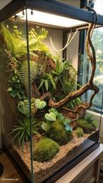 GEZOCHT! terrarium 100x100x50, Overige soorten, Met terrarium, 11 jaar of ouder