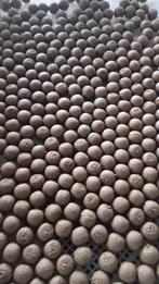 Spice Fish premium boilies, Ophalen of Verzenden, Nieuw, Overige typen