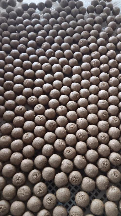 Spice Fish premium boilies, Watersport en Boten, Hengelsport | Karpervissen, Nieuw, Overige typen, Ophalen of Verzenden