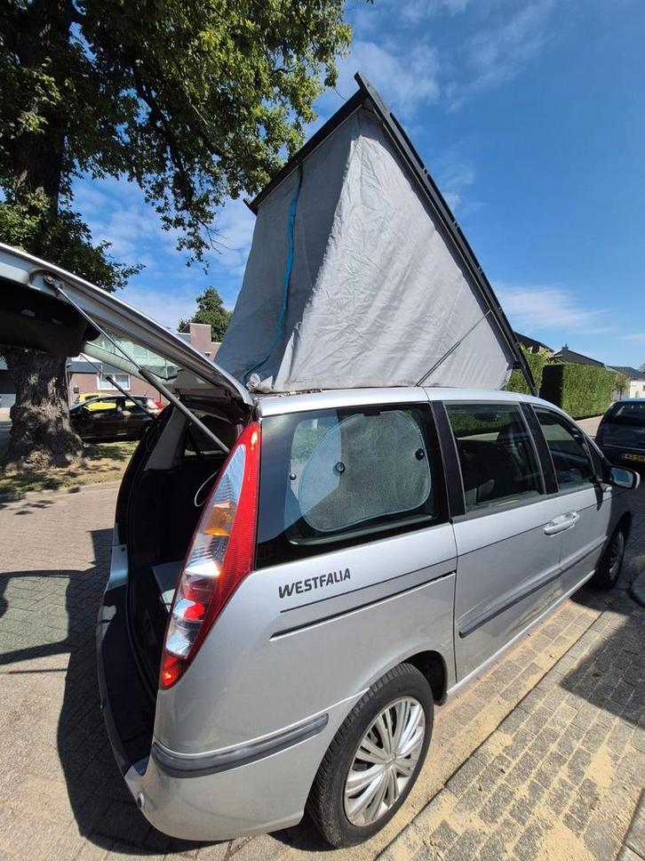 Fiat Ulysse Westfalia camper, Caravans en Kamperen, Campers, Particulier, Buscamper of Camperbus, Ophalen