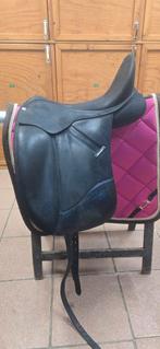 Wintec isabell werth 17.5 inch, Ophalen of Verzenden, Dressuur