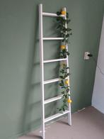 Houten ladder zgan, Ophalen of Verzenden, Zo goed als nieuw
