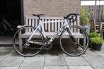Focus Cayo Fiets Maat 54cm met Campagnolo 11 snelheid, 28 inch, Gebruikt, Meer dan 20 versnellingen, 53 tot 57 cm