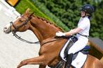 Instructie, mental coaching en wedstrijdbegeleiding, Paardrijles of Ponykampen