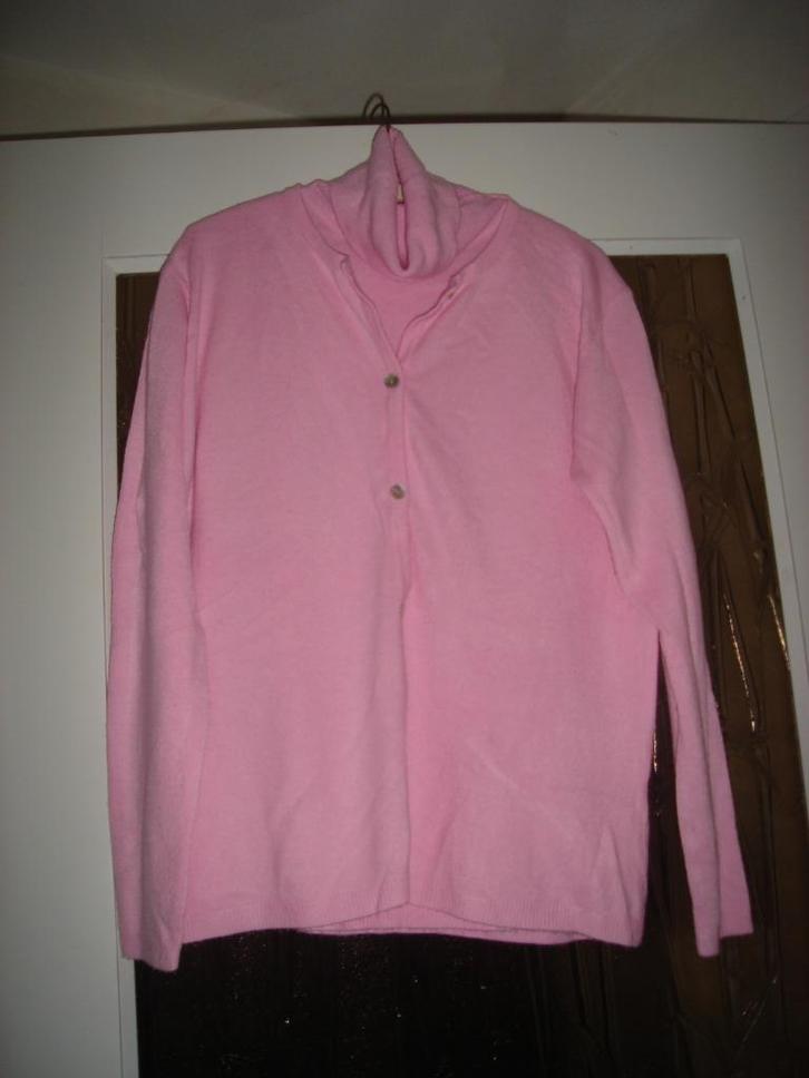 Babyroze twinset van Anna E. Luca, Kleding | Dames, Truien en Vesten, Zo goed als nieuw, Maat 38/40 (M), Roze, Ophalen of Verzenden
