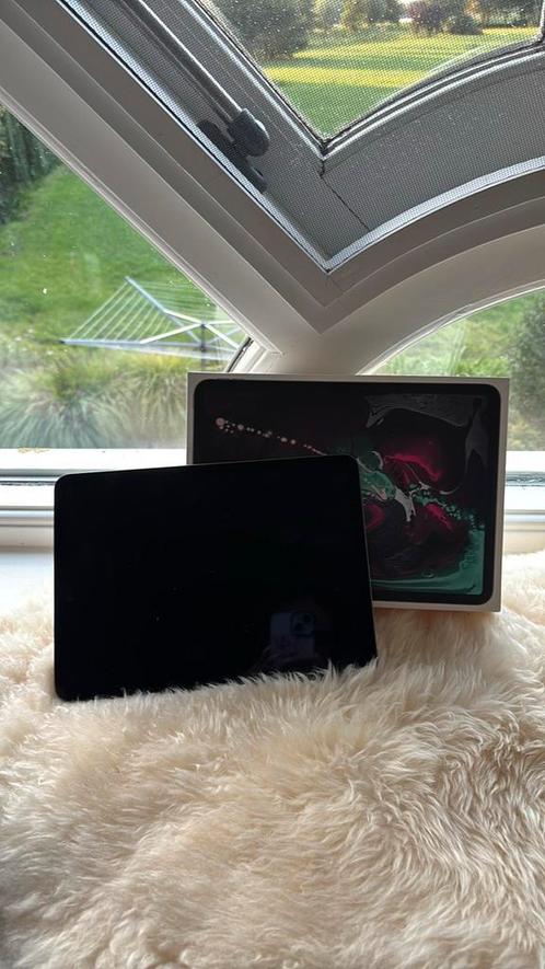 iPad Pro 11" 256GB Grijs (2021), Computers en Software, Apple iPads, Zo goed als nieuw, Apple iPad Pro, Wi-Fi, 11 inch, 256 GB