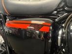 Kawasaki W800 (bj 2014), Motoren, 2 cilinders, Bedrijf, Onbekend, KAWASAKI