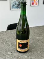 Fou Foune Cantillon 2023 - bier - Lambic Geuze foufoune, Verzamelen, Nieuw, Overige merken, Flesje(s), Ophalen of Verzenden