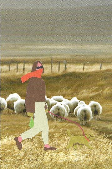 collagekaart 26 beschikbaar voor biedingen