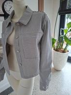 Nieuw Colorful Rebel Blauw Wit Jasje gestreept streep xl 42, Kleding | Dames, Maat 42/44 (L), Nieuw, Ophalen of Verzenden, Jasje