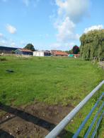 Stalling vrij, Dieren en Toebehoren, Stalling en Weidegang, Stalling