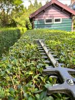 DR Tuinservice – Voor al uw tuin klussen!, Diensten en Vakmensen, Tuinmannen en Stratenmakers, Garantie, Tuinonderhoud of Snoeiwerk