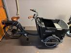 Elektrische babboe curve-e bakfiets, 4 kinderen of meer, Elektrisch, Zo goed als nieuw, Ophalen