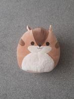 Eekhoorn Squishmallow Knuffel, Ophalen, Gebruikt, Overige typen